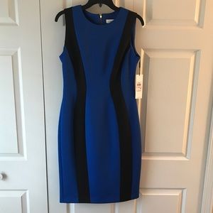 Calvin Klein Size 10 Dress (brand new with tags)
